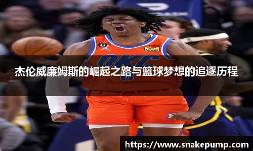 雷竞技raybet官网